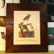 Custom framed Audubon print.