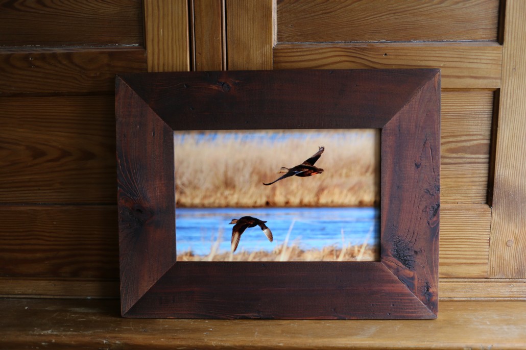Custom framed 8x12" photo that was printed on aluminum.